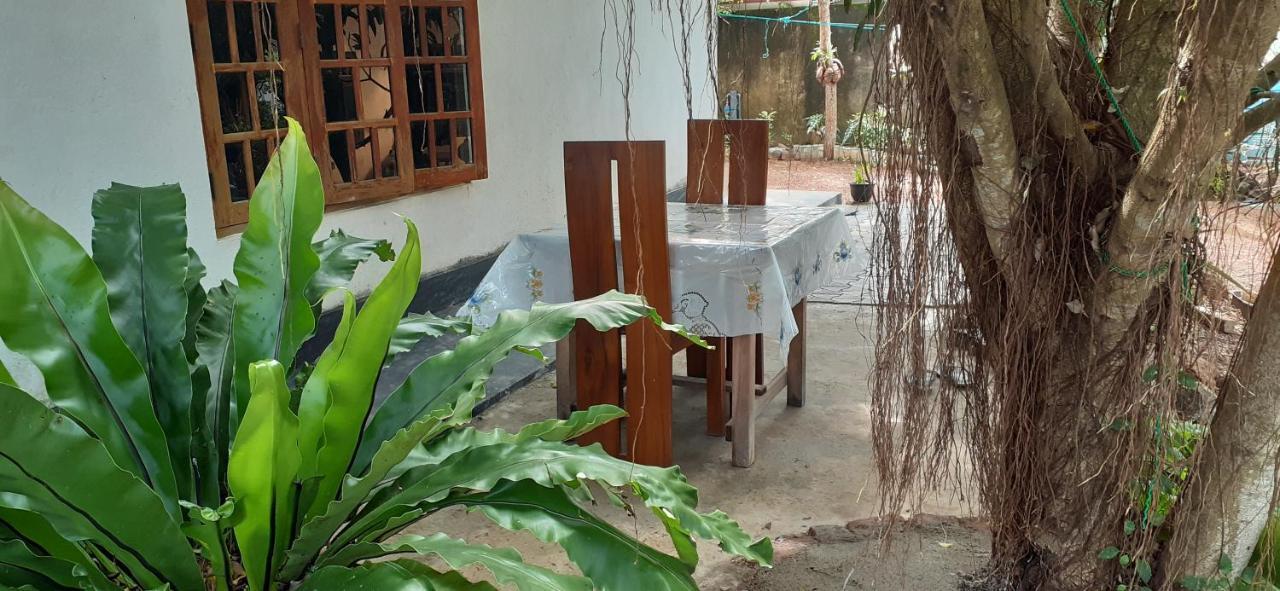 Bisandu Guesthouse Mirissa Ngoại thất bức ảnh